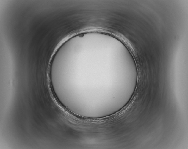 X0000116441382200912081344