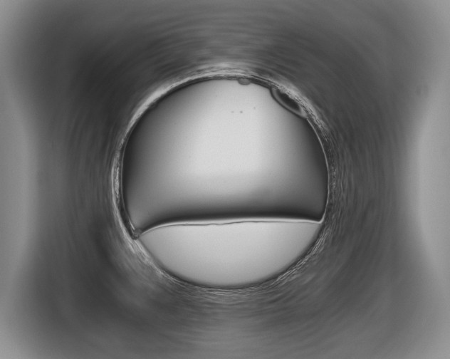 X0000116441383200912081344