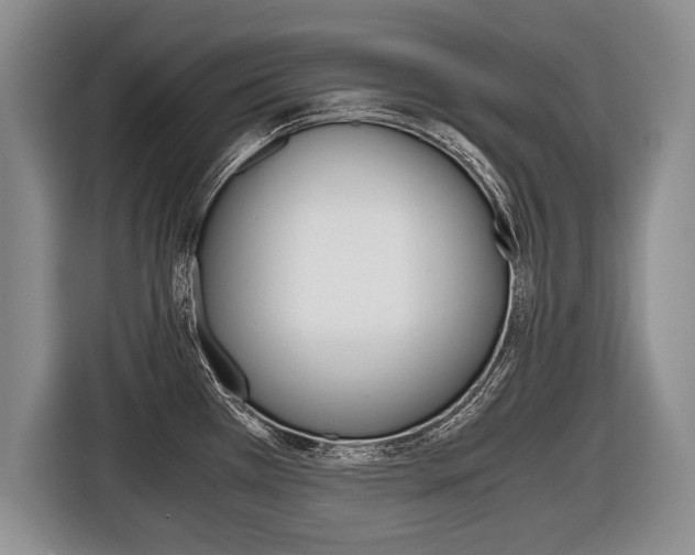 X0000116441385200912081344