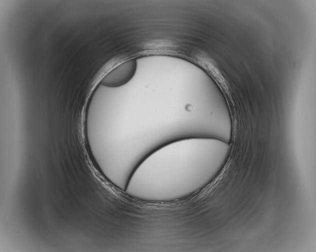 X0000116441386200912081344