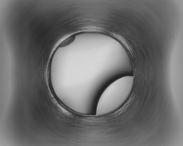 X0000116441387200912081344
