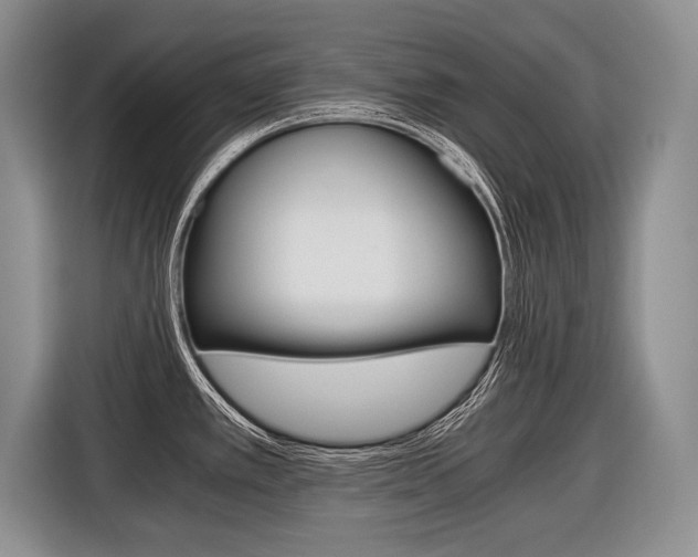 X0000116441389200912081344