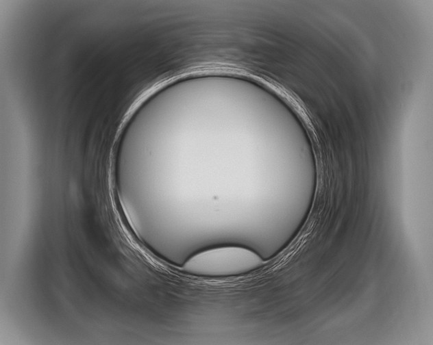 X0000116441390200912081344