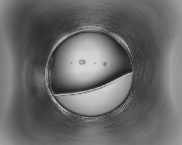 X0000116441391200912081344