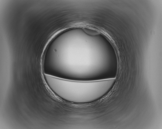 X0000116441392200912081344