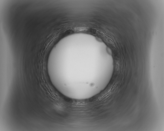 X0000116441393200912081343