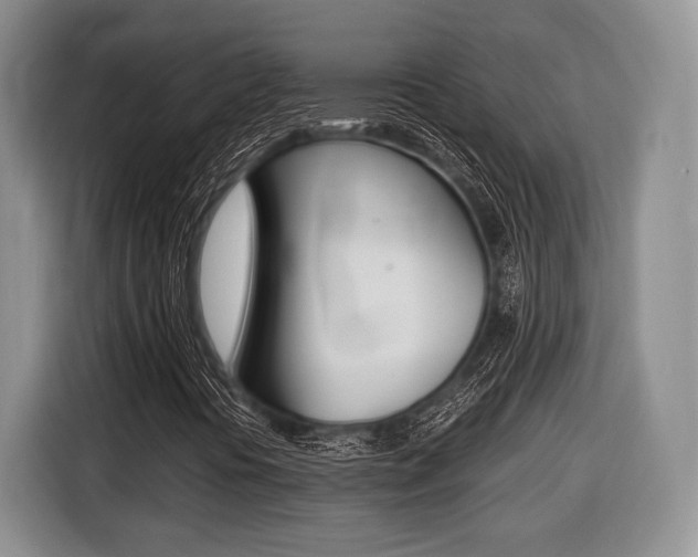X0000116441394200912081343