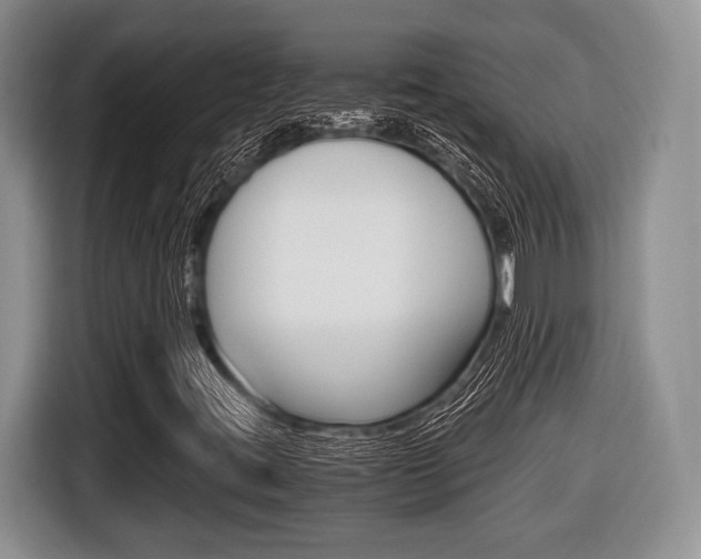 X0000116441395200912081343