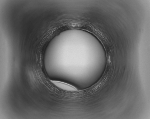 X0000116441396200912081343