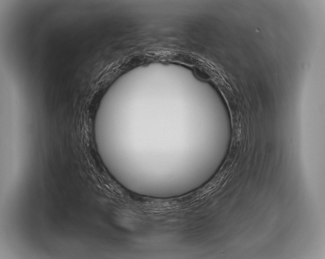 X0000116441397200912081343