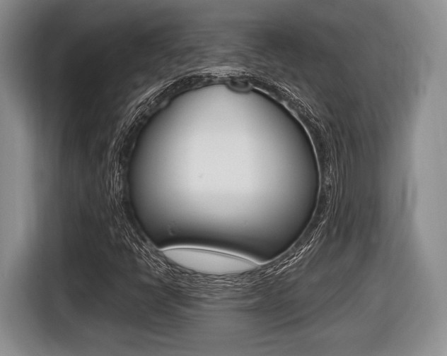 X0000116441398200912081343