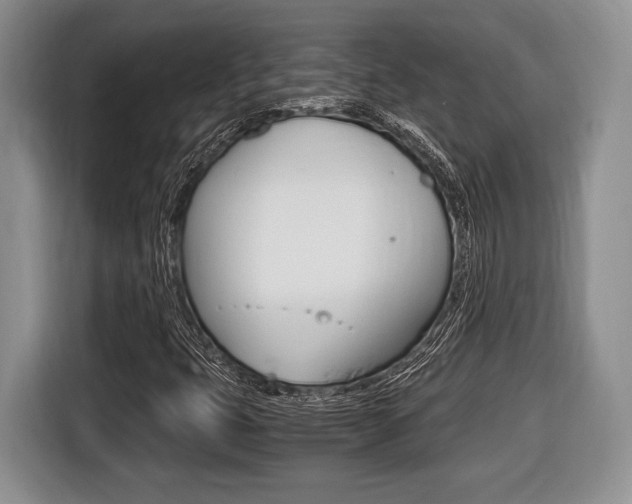 X0000116441399200912081343