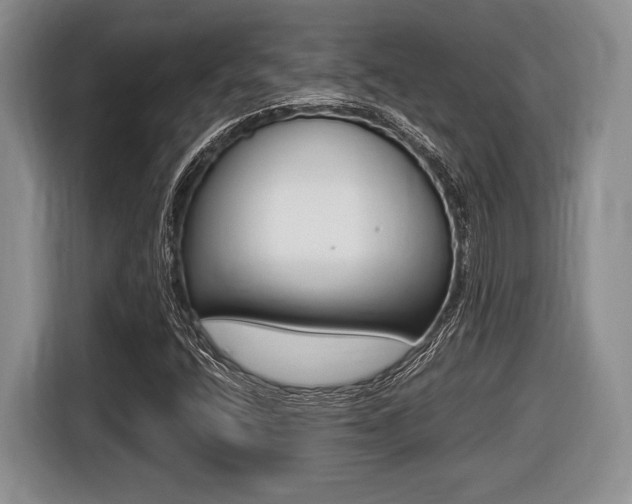 X0000116441400200912081343