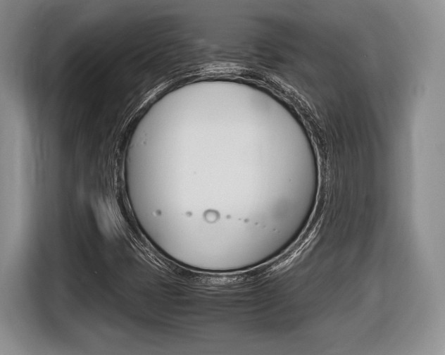 X0000116441401200912081343