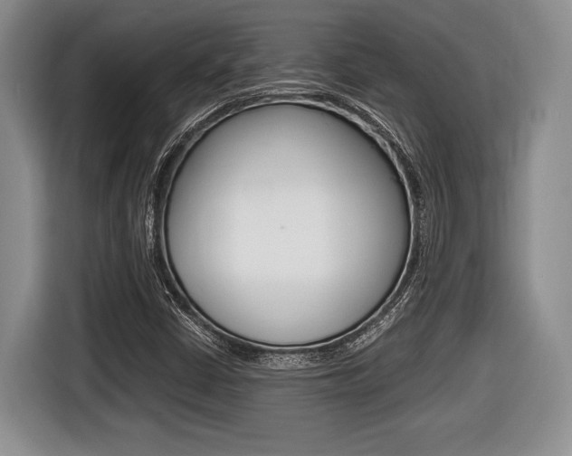 X0000116441402200912081343