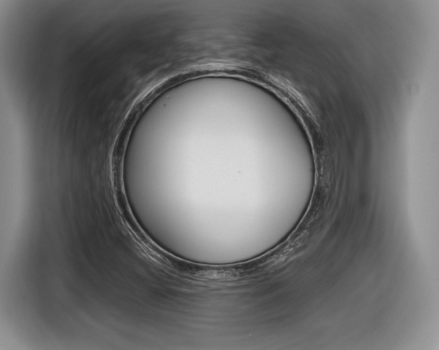 X0000116441404200912081343