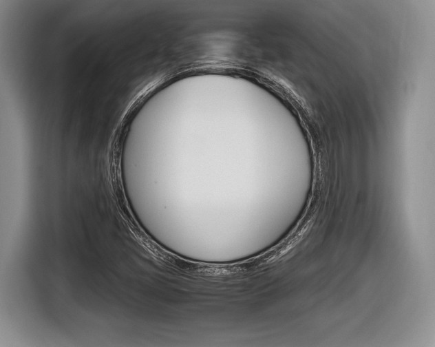 X0000116441405200912081343