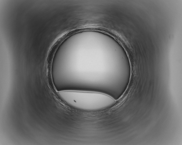X0000116441406200912081343