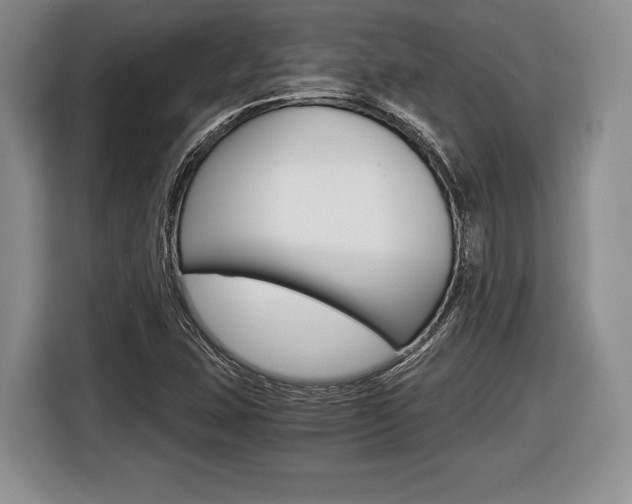X0000116441407200912081343