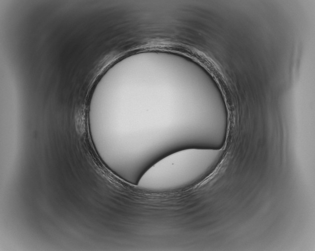 X0000116441409200912081343