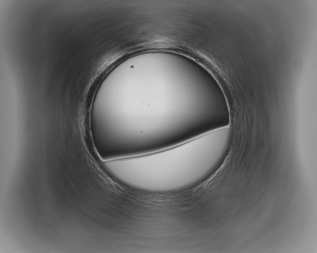 X0000116441410200912081343