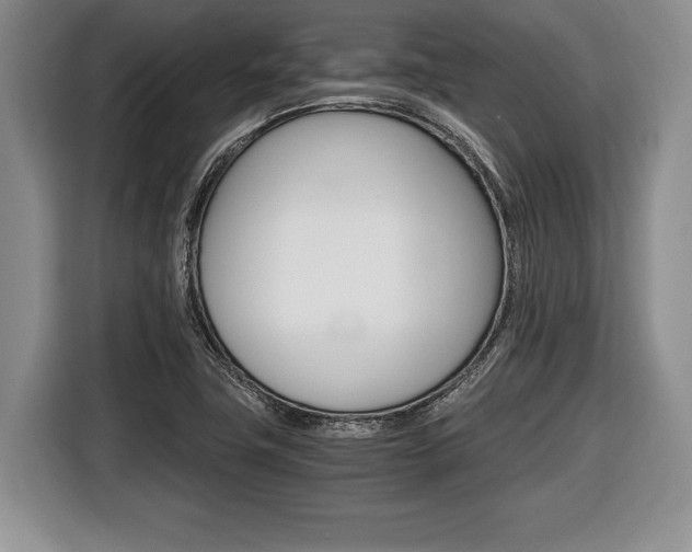 X0000116441411200912081343