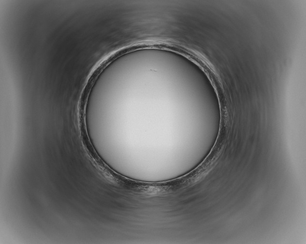 X0000116441412200912081343