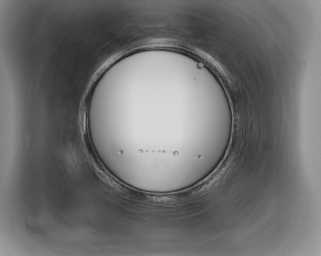 X0000116441413200912081343