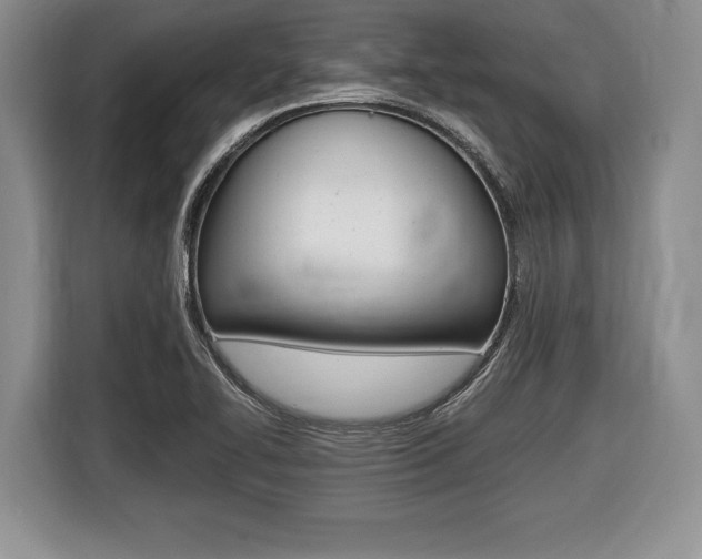 X0000116441414200912081343