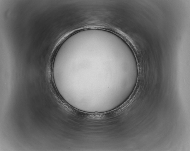 X0000116441415200912081343