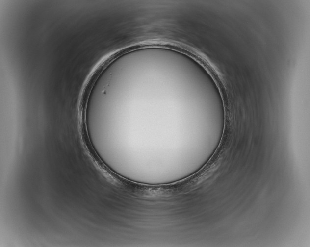 X0000116441416200912081343