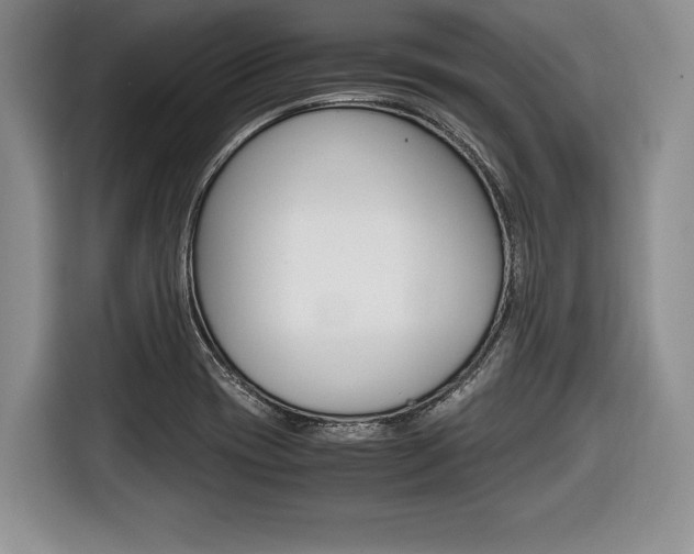 X0000116441417200912081344