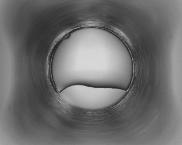 X0000116441419200912081344