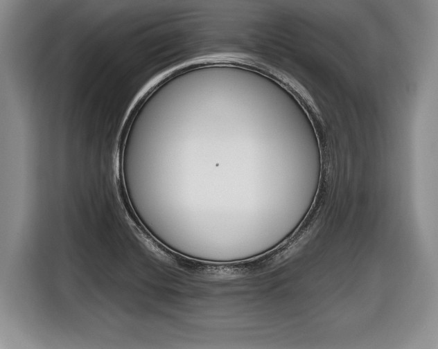 X0000116441420200912081344