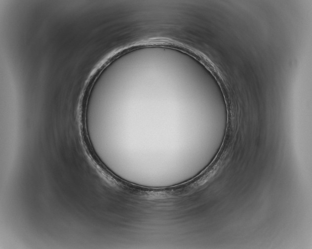 X0000116441422200912081344