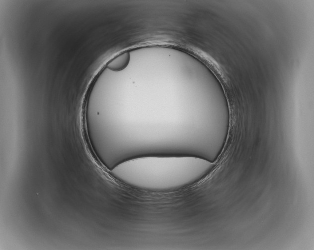 X0000116441423200912081344