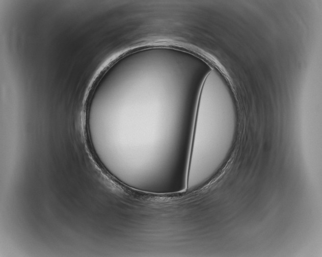 X0000116441424200912081344