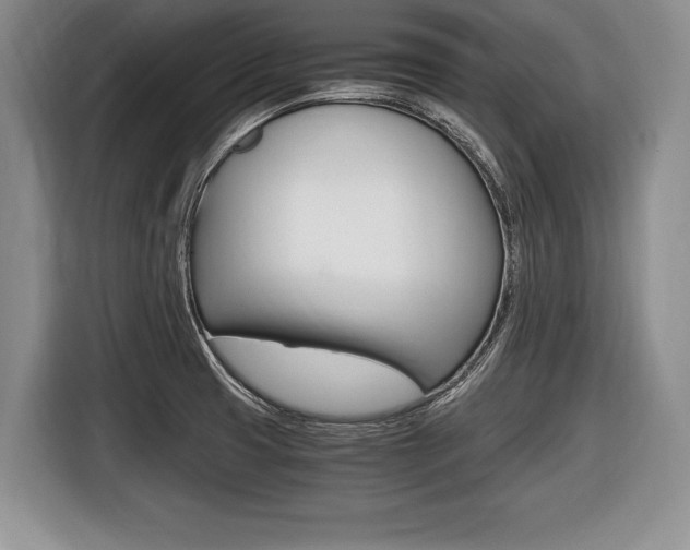 X0000116441425200912081344