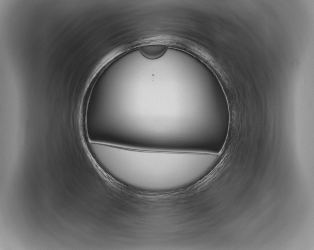 X0000116441426200912081344