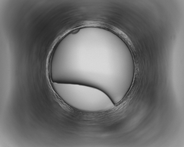 X0000116441427200912081344