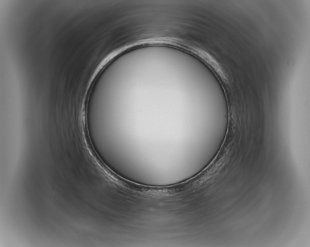 X0000116441428200912081344