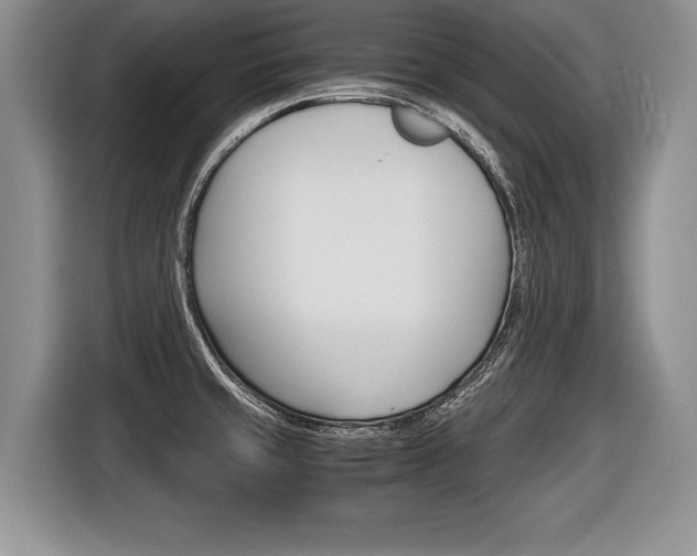 X0000116441429200912081344