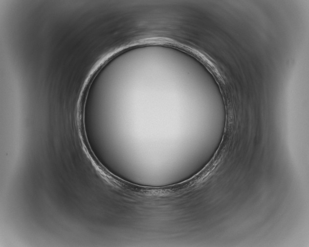 X0000116441430200912081344