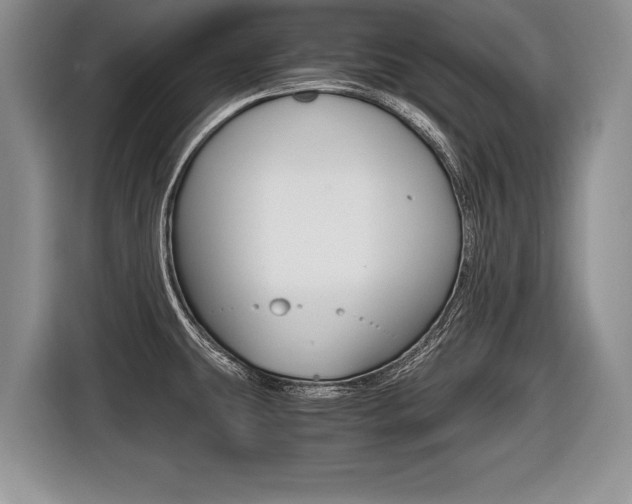 X0000116441431200912081344