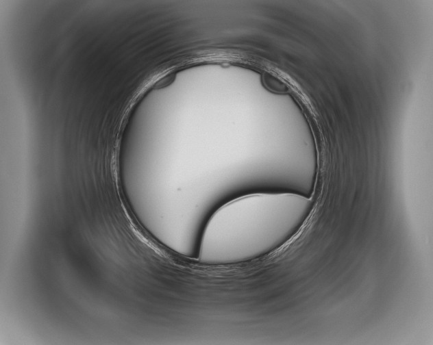 X0000116441433200912081344