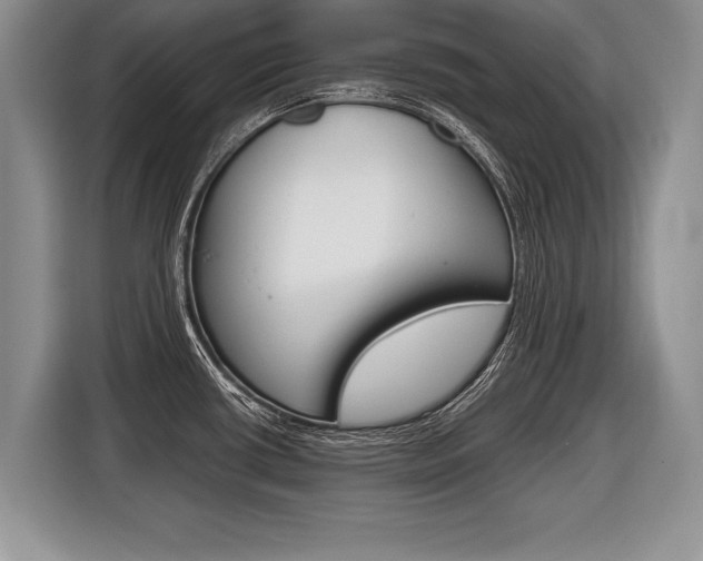X0000116441434200912081344