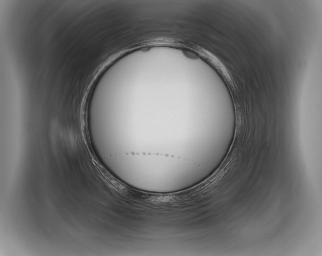 X0000116441435200912081344