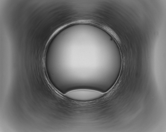 X0000116441436200912081344
