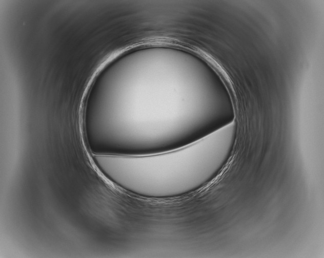 X0000116441437200912081344
