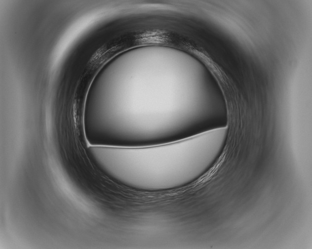 X0000116441438200912081344